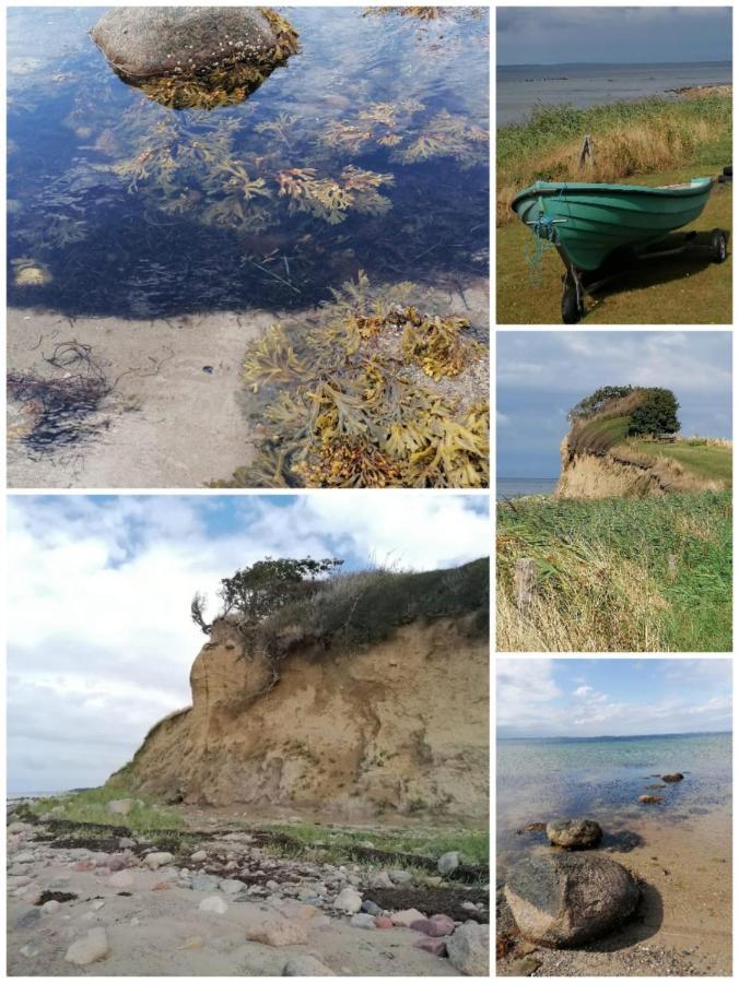 My Home Spodsbjerg Εξωτερικό φωτογραφία